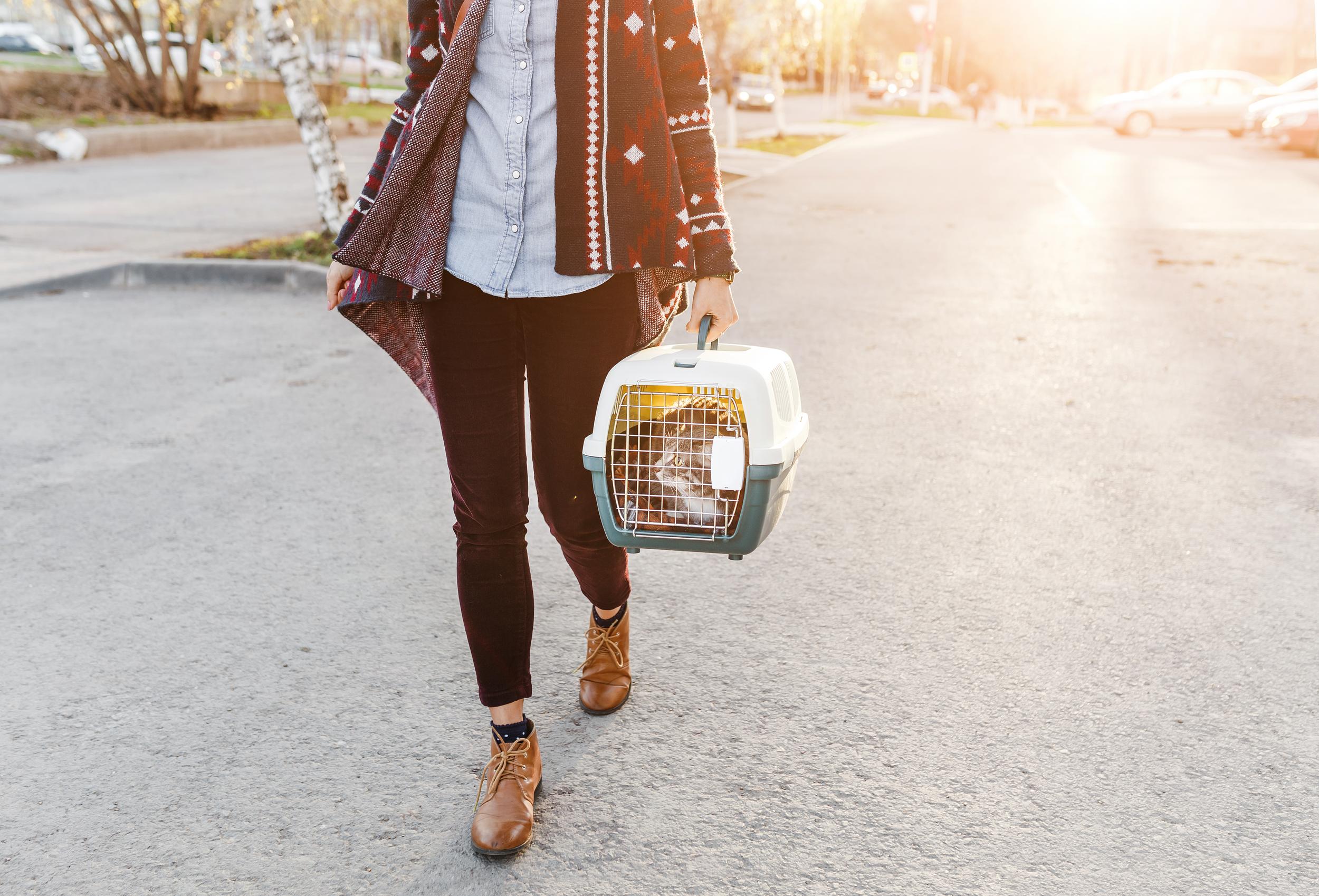 Person Walking with Cat in Carrier