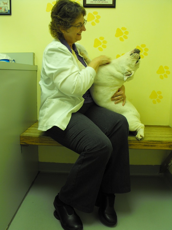 Profile for Lee Ann Hackworth