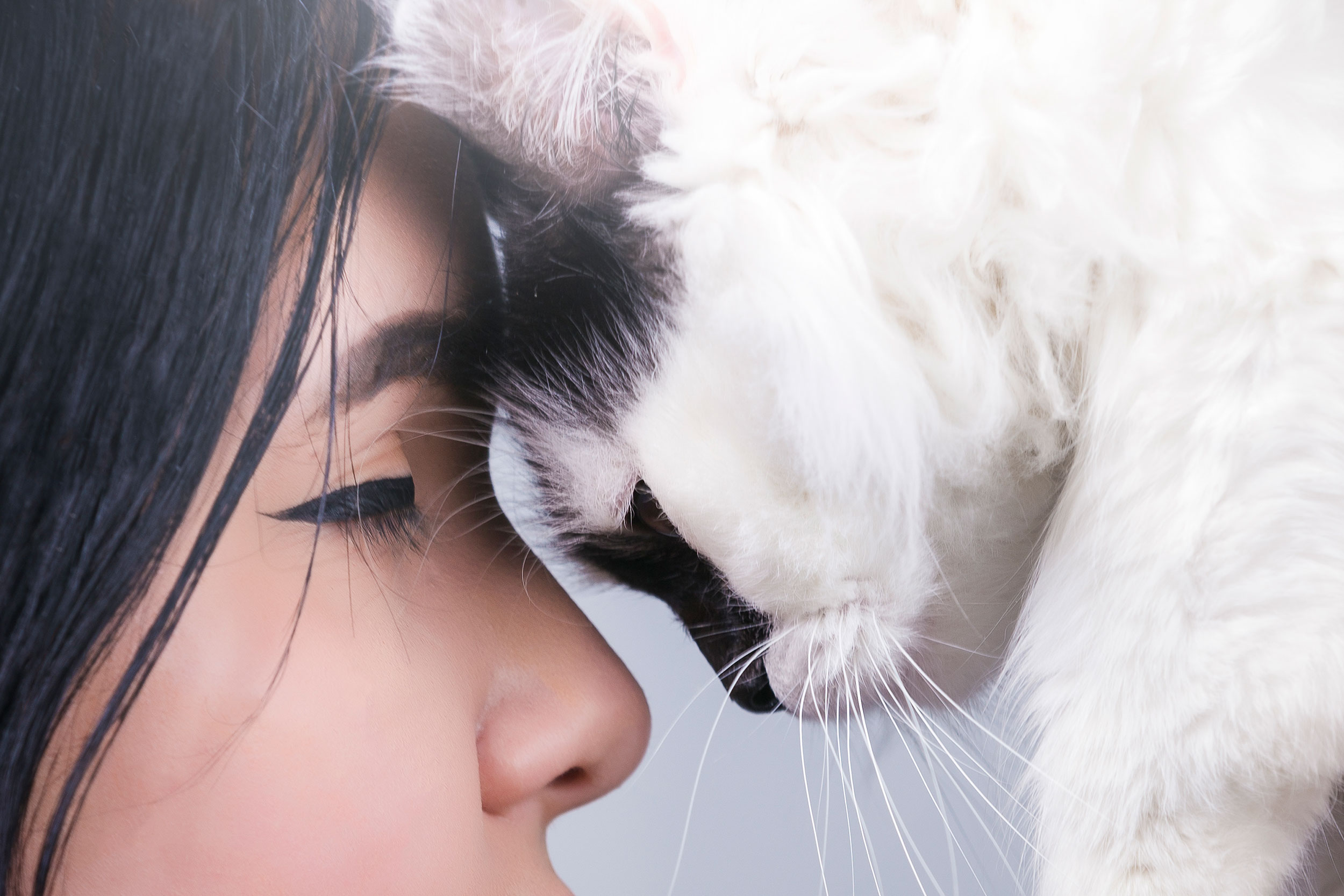 Person and Cat Close up Touching Foreheads