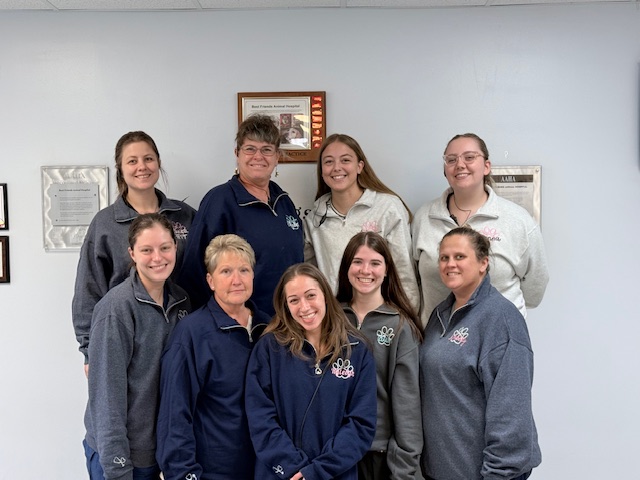 Profile for Nursing Staff