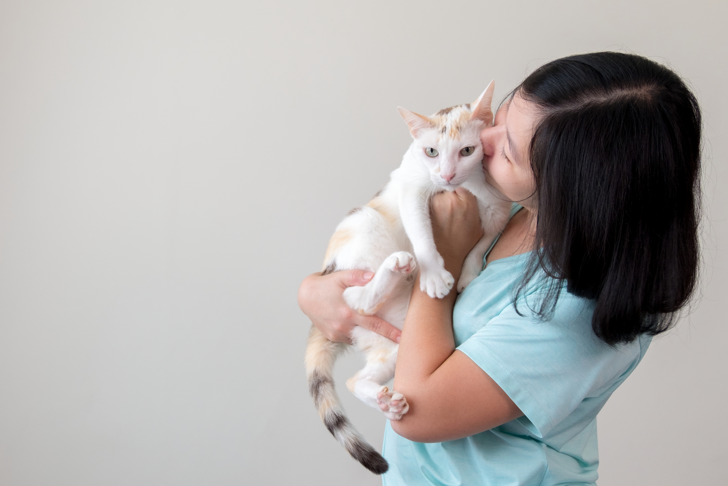 Person Holding a White and Orange Cat