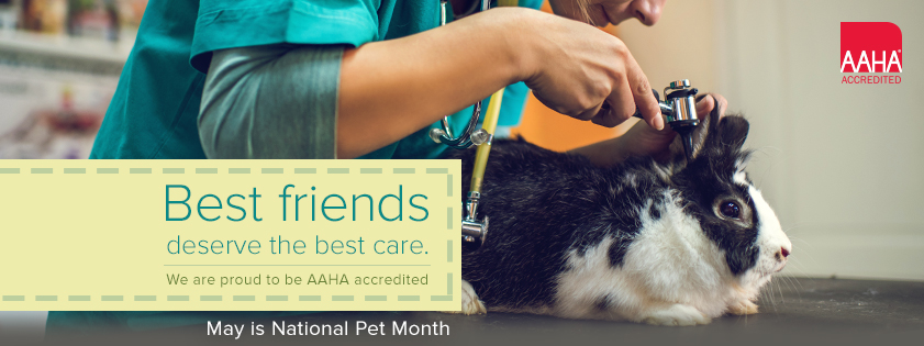 national pet ;month